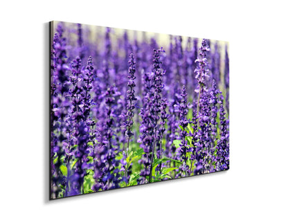 violetas92453-#materiale_EarthArt Materic/dimensioni_79,5x53