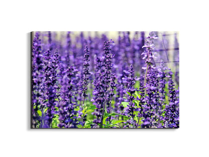 violetas92453-#materiale_EarthArt Total Gloss/dimensioni_79,5x53