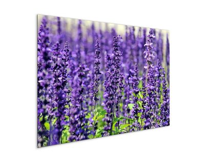 violetas92453-#materiale_MetalArt Materic/dimensioni_79,5x53