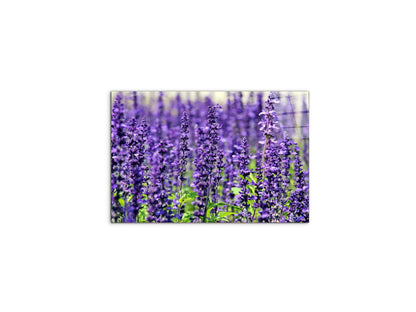 violetas92453-#materiale_CrystalArt/dimensioni_50x33,33