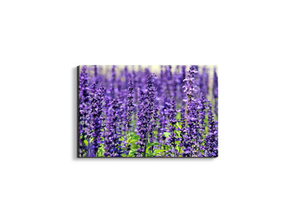 violetas92453-#materiale_EarthArt/dimensioni_50x33,33