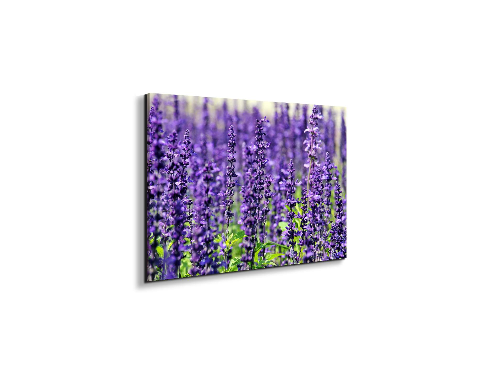 violetas92453-#materiale_EarthArt Materic/dimensioni_50x33,33