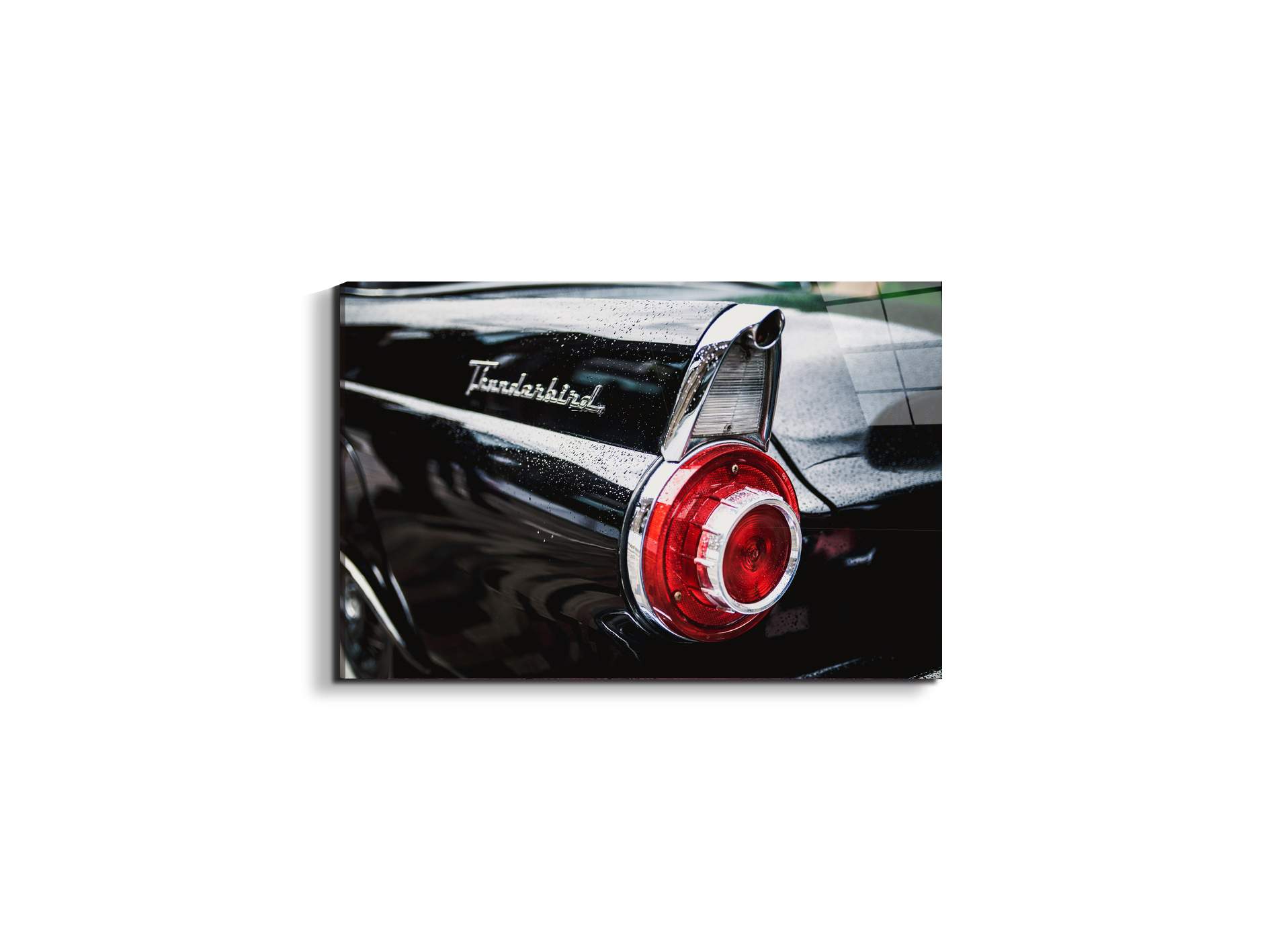 thunderbirdas92460-#materiale_EarthArt Total Gloss/dimensioni_50x33,33