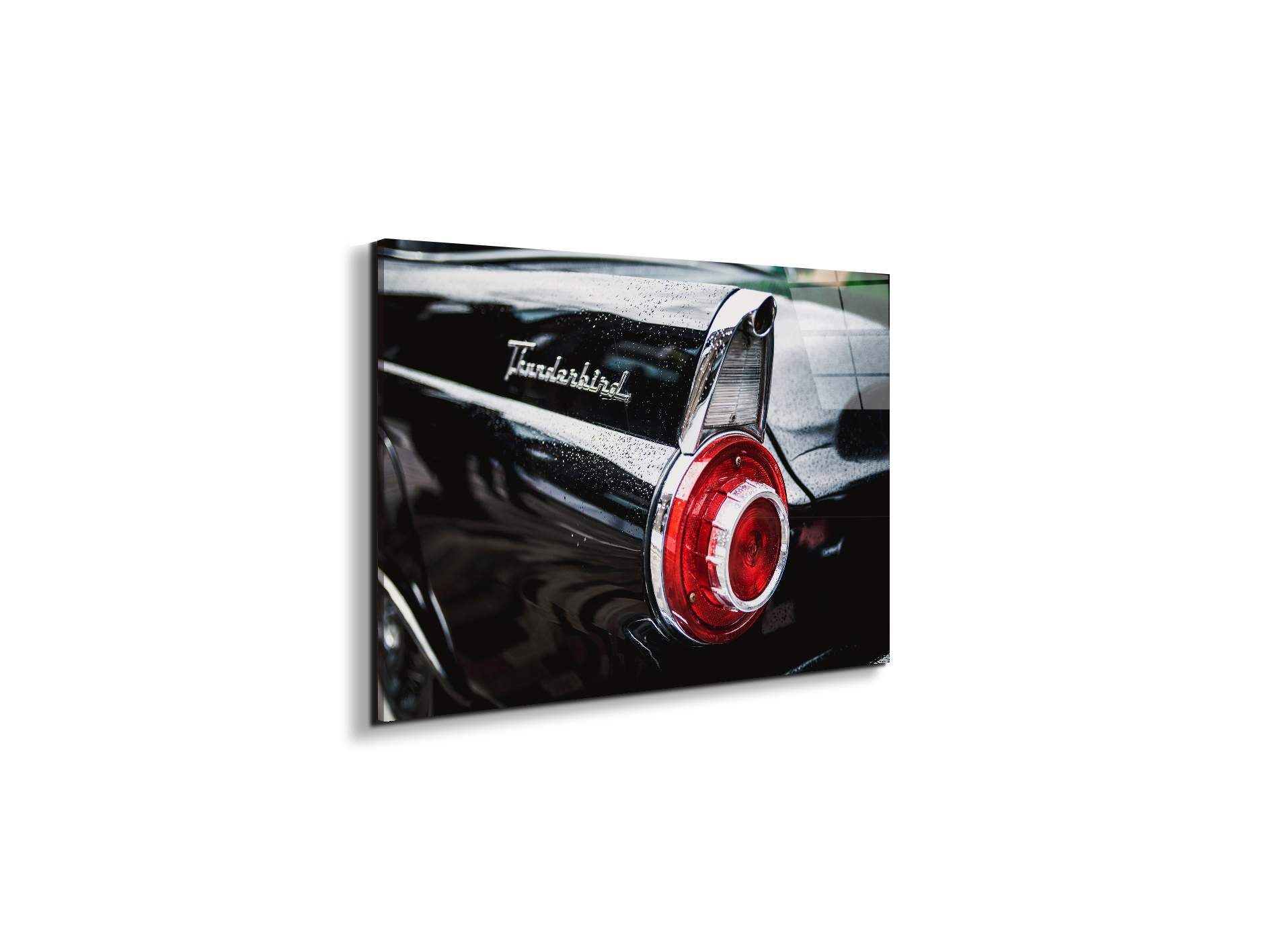 thunderbirdas92460-#materiale_EarthArt Total Gloss/dimensioni_50x33,33