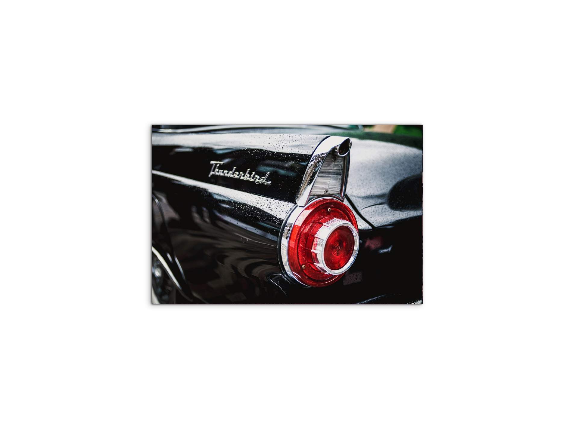 thunderbirdas92460-#materiale_MetalArt Materic/dimensioni_50x33,33