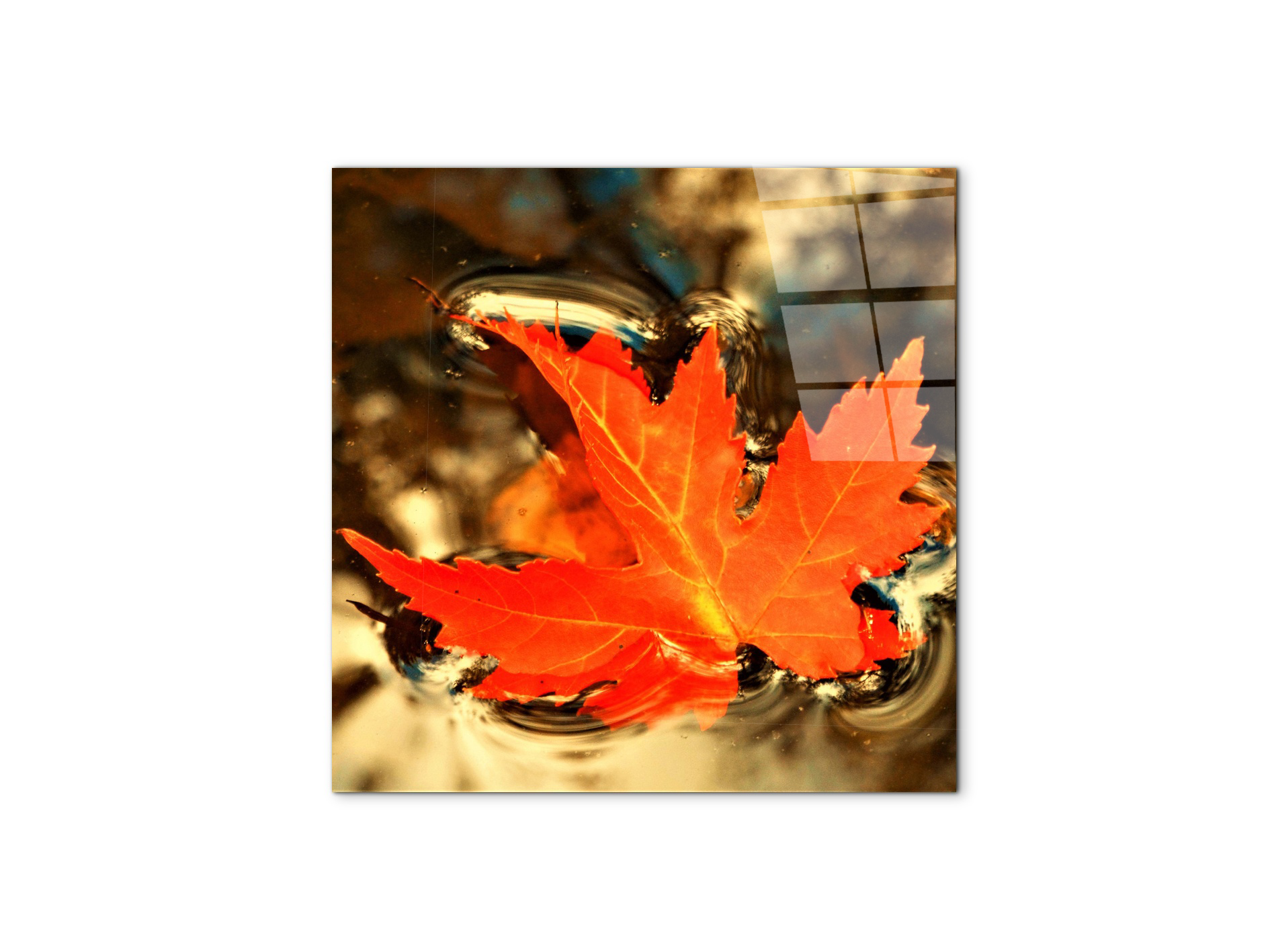 foglia-dautunnoas92474-#materiale_CrystalArt/dimensioni_58x58