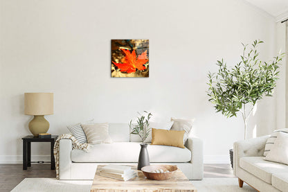 foglia-dautunnoas92474-#materiale_CrystalArt/dimensioni_58x58