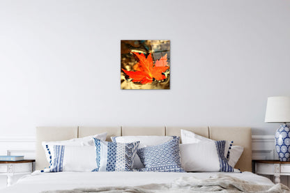 foglia-dautunnoas92474-#materiale_CrystalArt/dimensioni_58x58