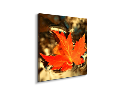 foglia-dautunnoas92474-#materiale_EarthArt Materic/dimensioni_58x58