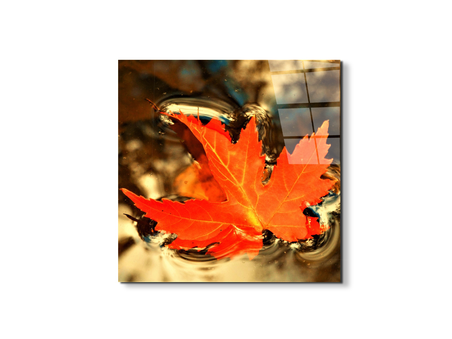foglia-dautunnoas92474-#materiale_EarthArt Total Gloss/dimensioni_58x58