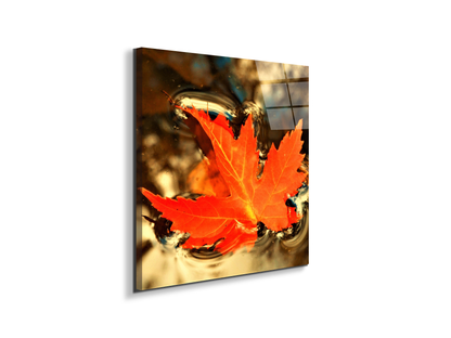 foglia-dautunnoas92474-#materiale_EarthArt Total Gloss/dimensioni_58x58