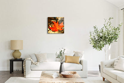 foglia-dautunnoas92474-#materiale_EarthArt Total Gloss/dimensioni_58x58
