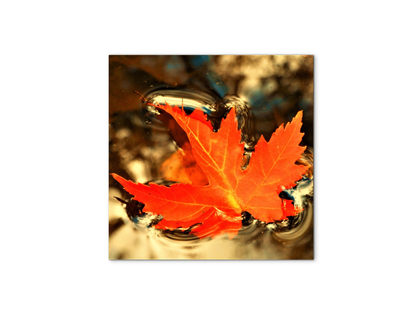 foglia-dautunnoas92474-#materiale_MetalArt Materic/dimensioni_58x58