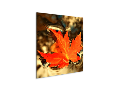 foglia-dautunnoas92474-#materiale_MetalArt Materic/dimensioni_58x58
