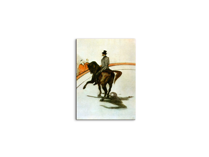 horse-in-the-ring-as92631-