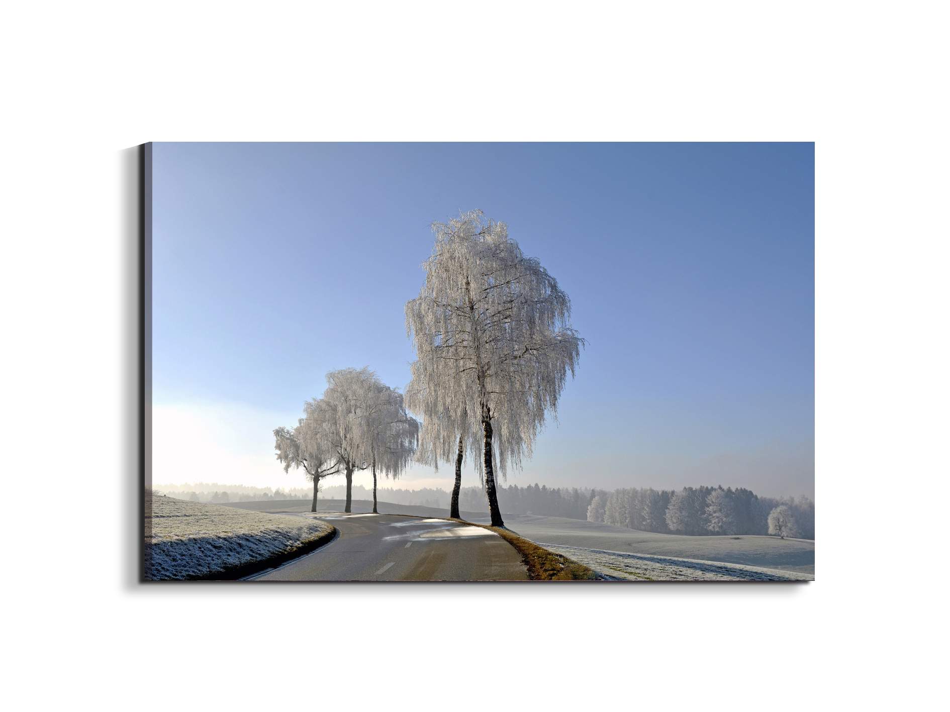 wintryas92666-#materiale_EarthArt/dimensioni_79,5x53