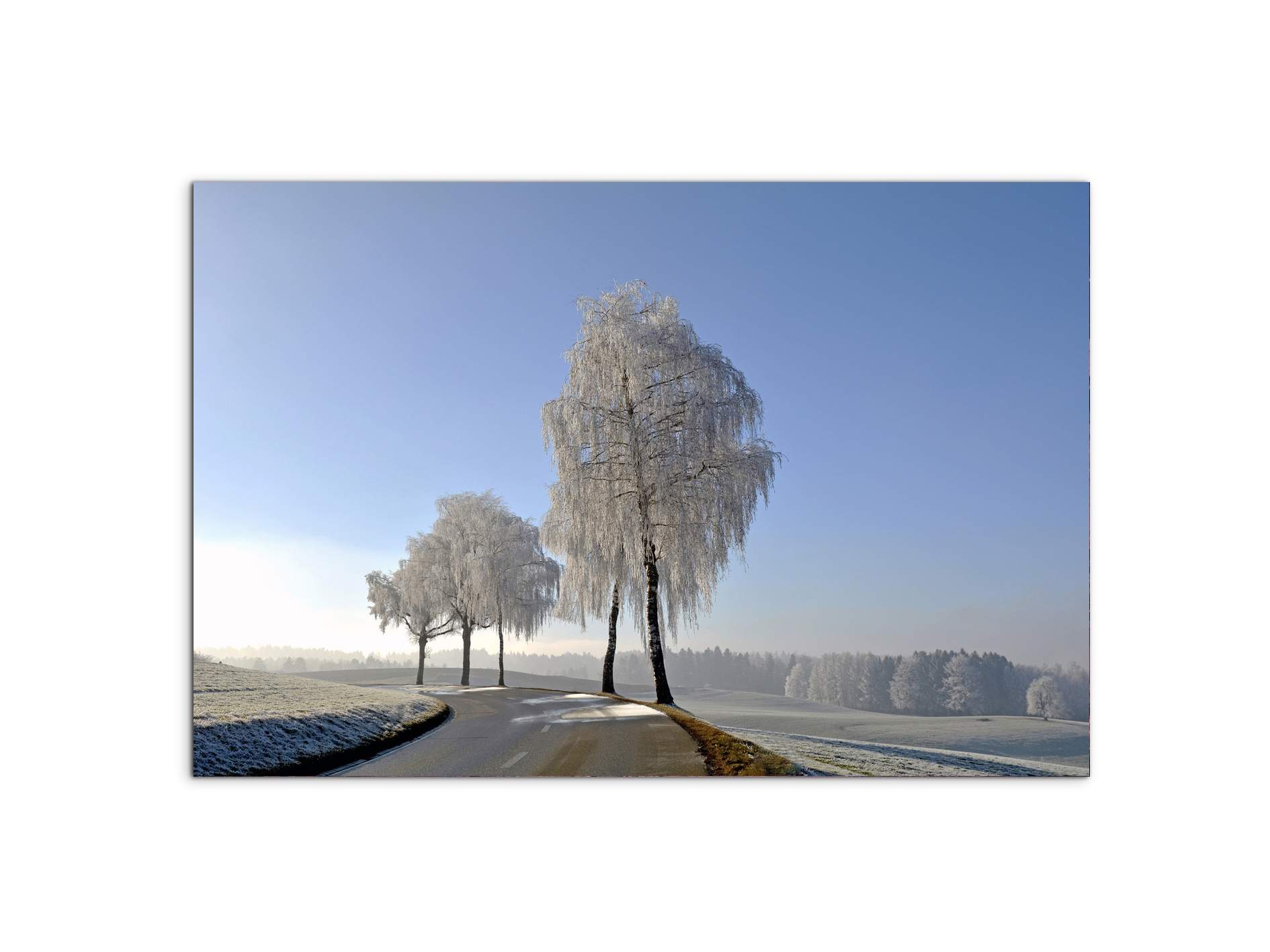 wintryas92666-