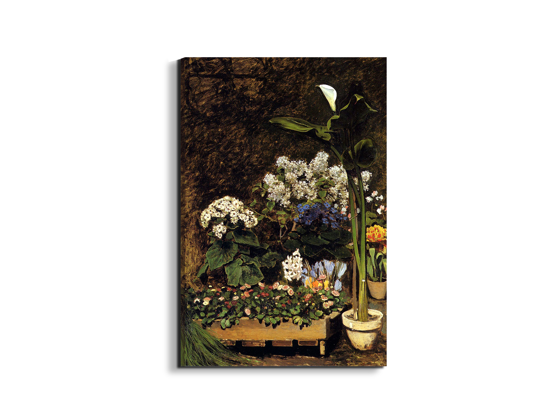 #materiale_EarthArt/dimensioni_53x79,5