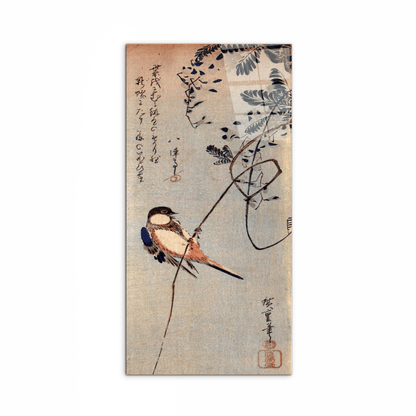 a-bird-on-a-wisteriaas92849-