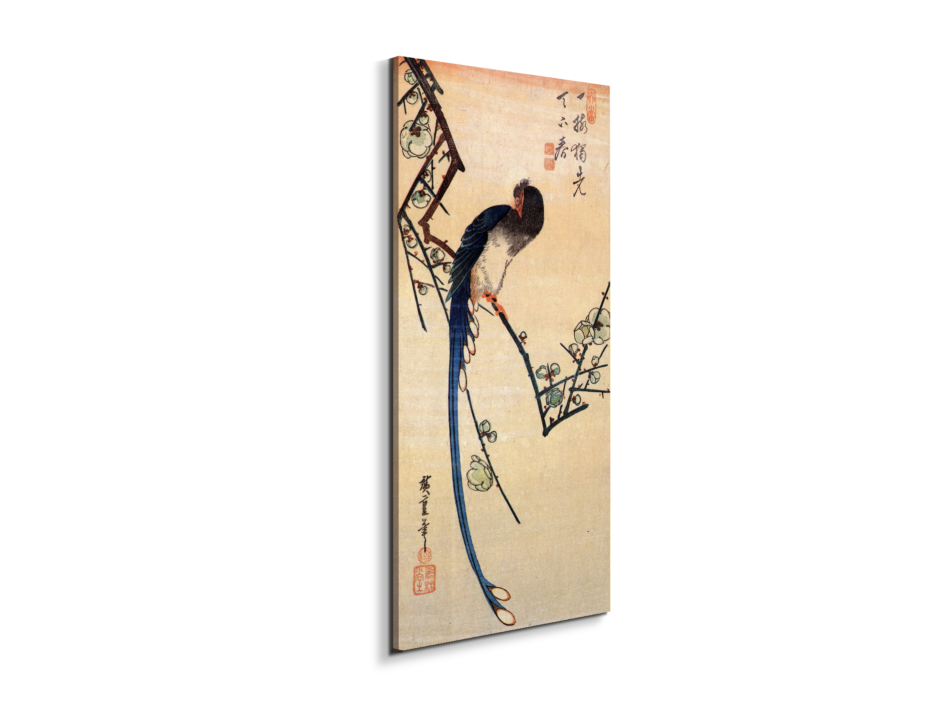 blue-bird-on-a-plumtreeas92867-