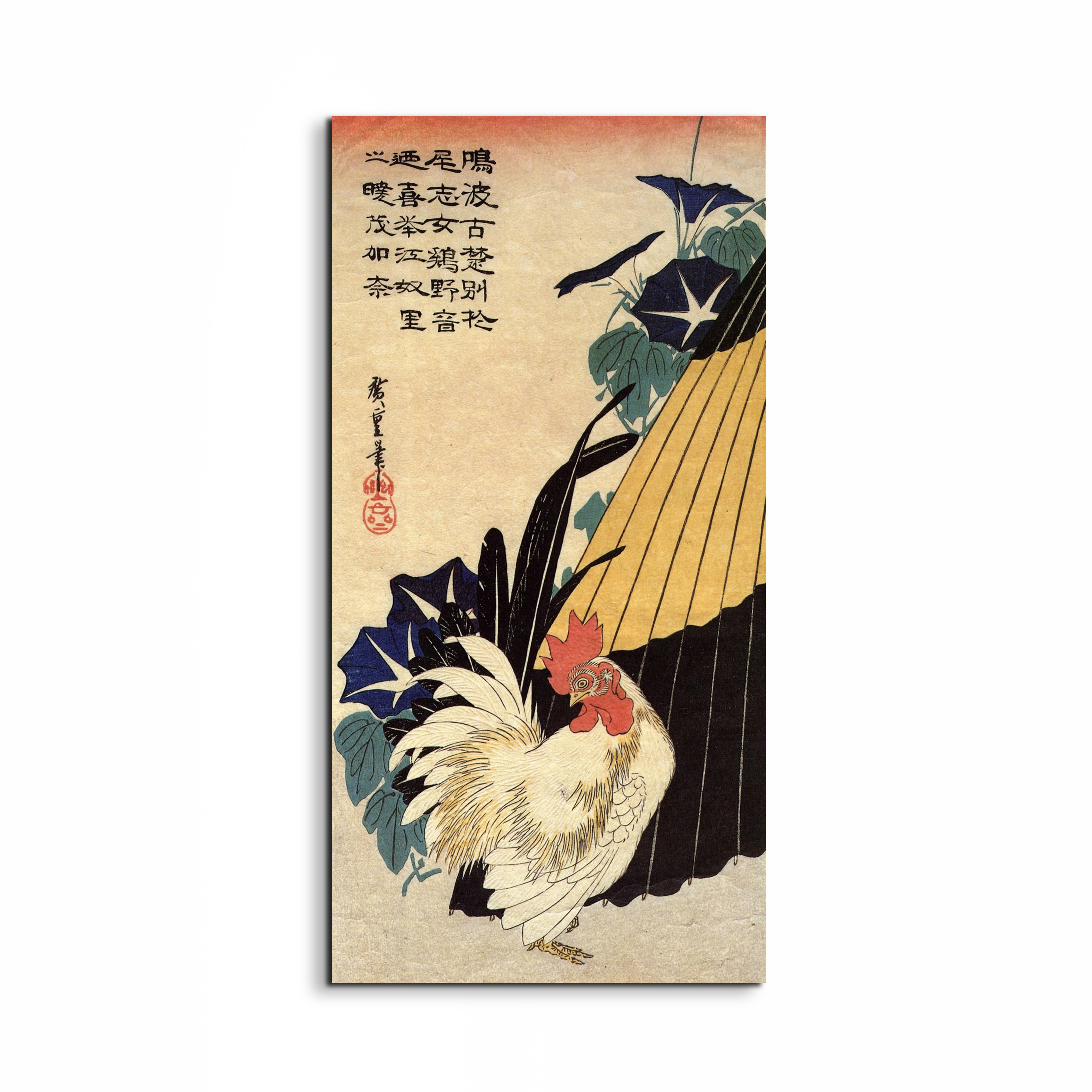 cock-umbrella-and-morning-gloryas92870-#materiale_EarthArt/dimensioni_50x100