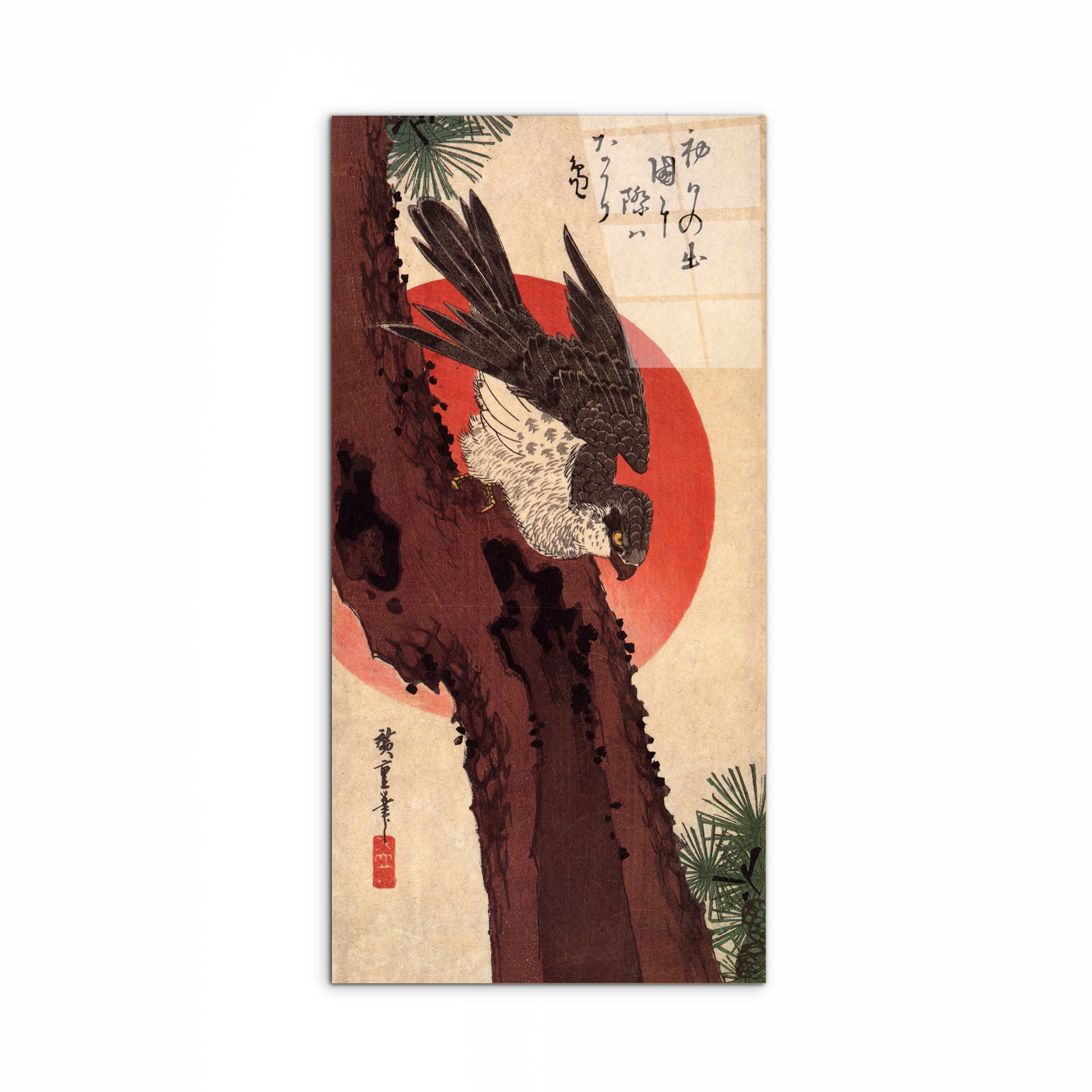 falcon-on-a-pine-with-rising-sunas92875-#materiale_CrystalArt/dimensioni_50x100