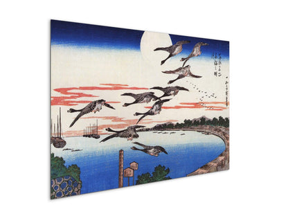 geese-descending-over-a-bayas92880-