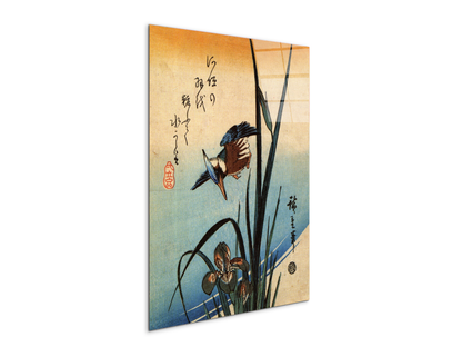 kingfisher-and-lilies-iias92989-