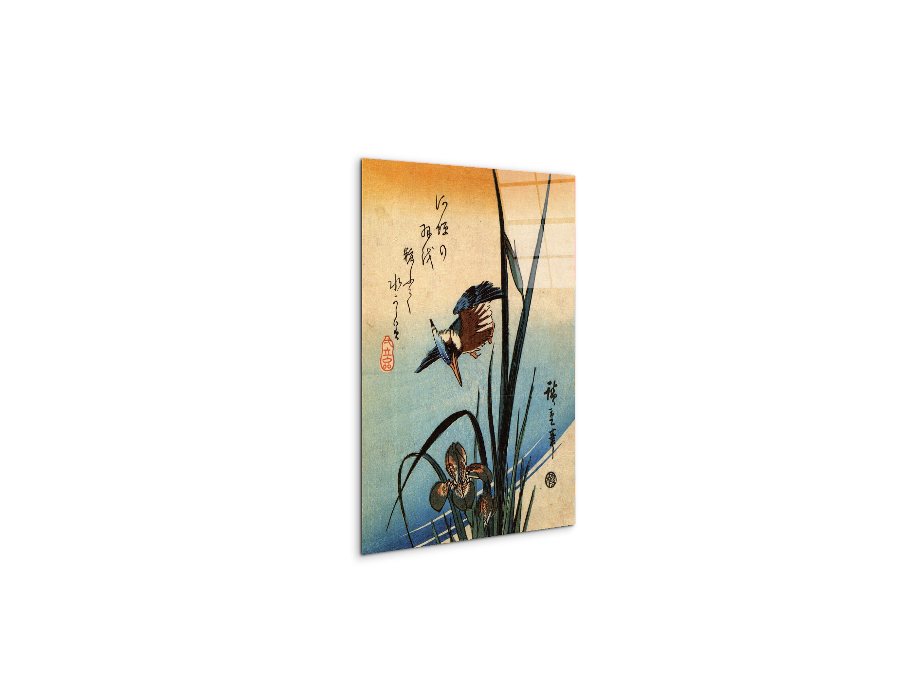 kingfisher-and-lilies-iias92989-