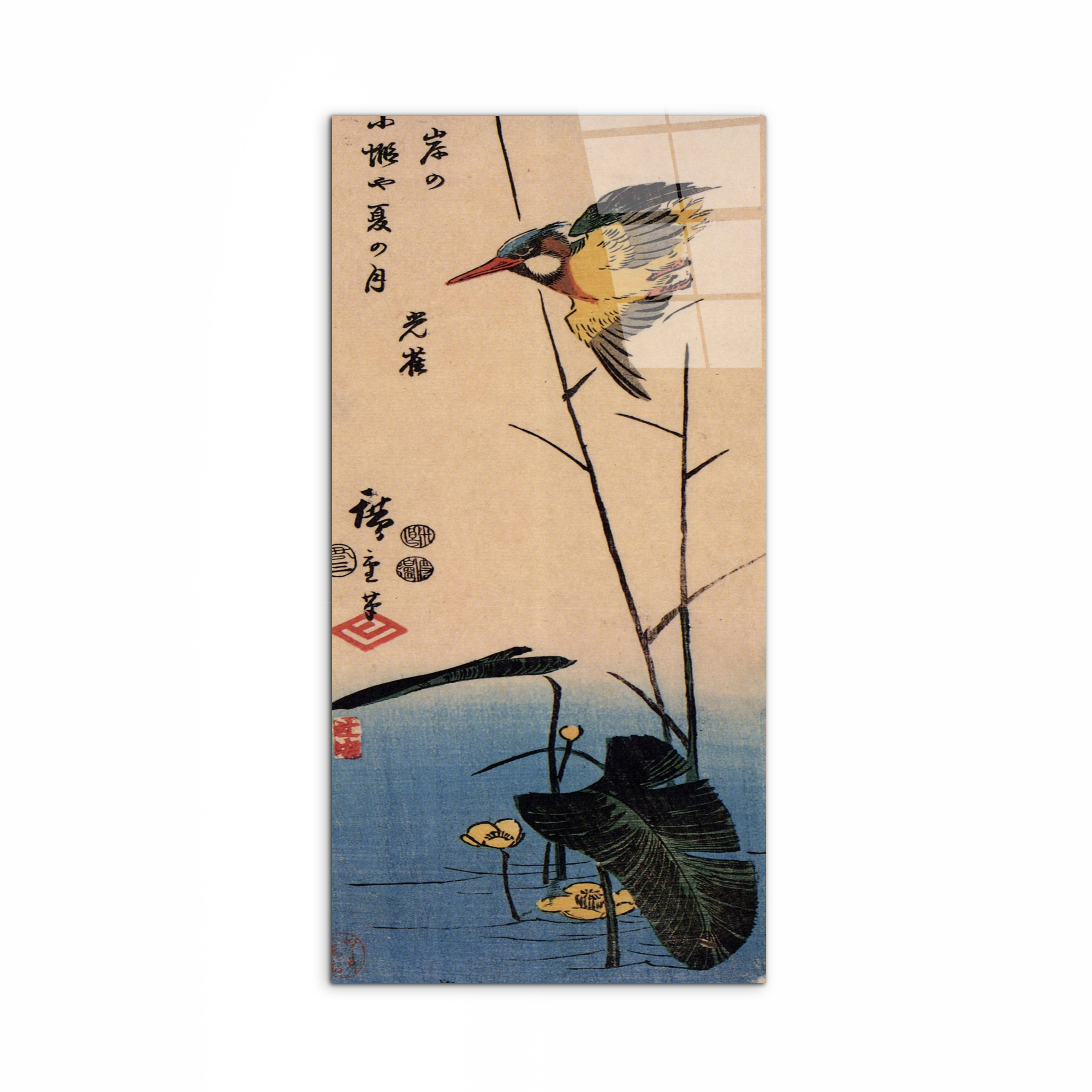 kingfisher-over-yellow-waterplantas92990-#materiale_CrystalArt/dimensioni_50x100