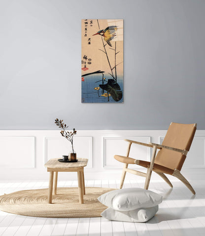 kingfisher-over-yellow-waterplantas92990-
