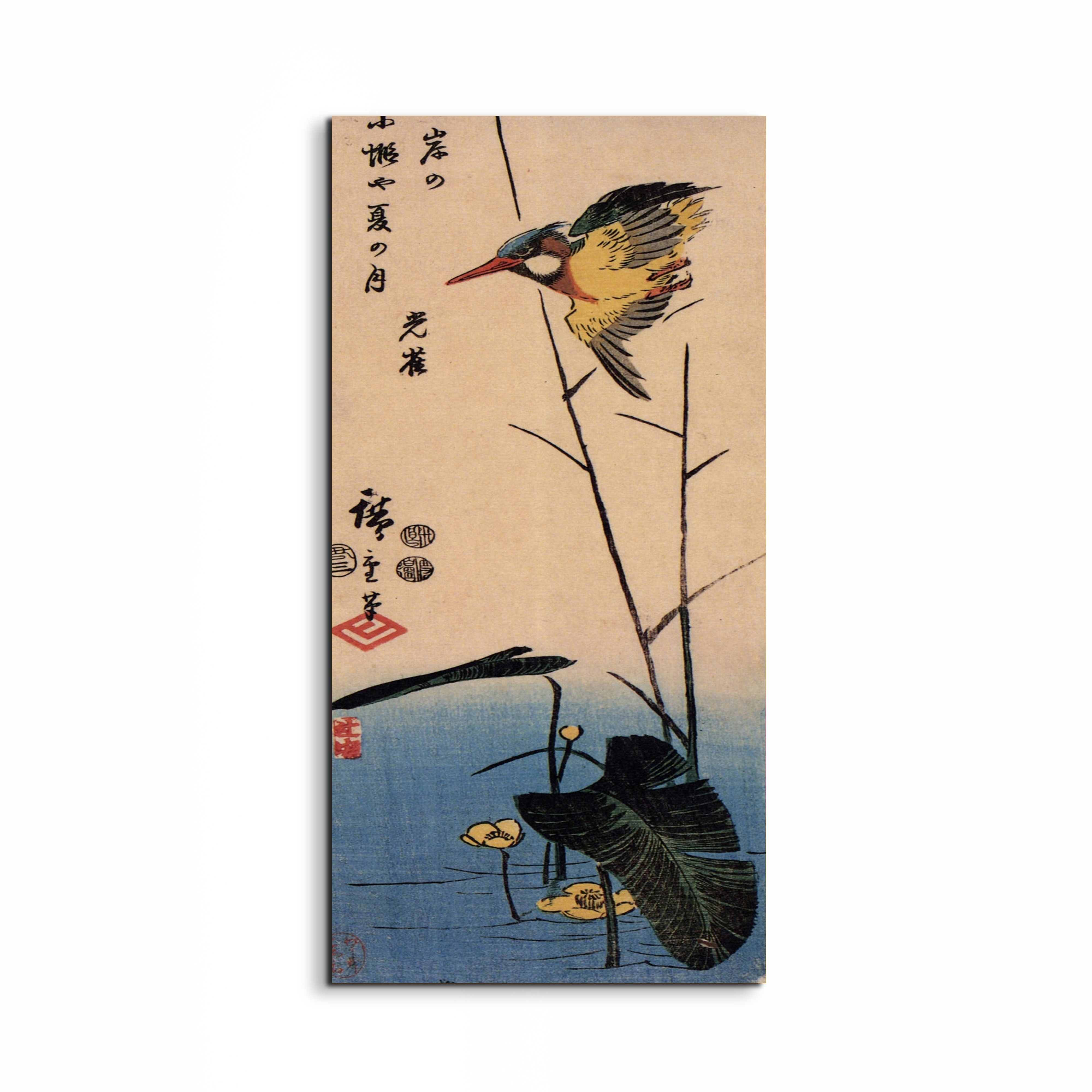kingfisher-over-yellow-waterplantas92990-#materiale_EarthArt/dimensioni_50x100