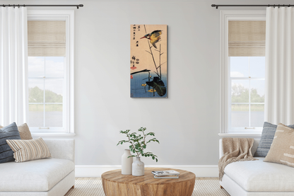kingfisher-over-yellow-waterplantas92990-