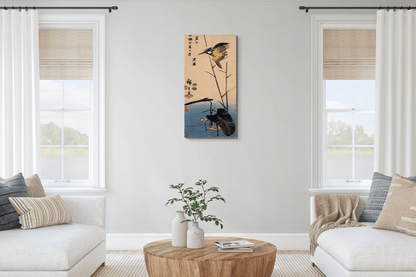 kingfisher-over-yellow-waterplantas92990-