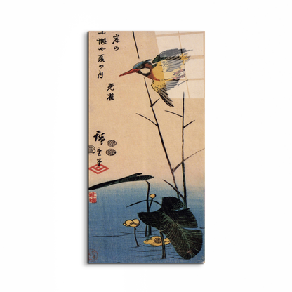 kingfisher-over-yellow-waterplantas92990-