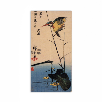 kingfisher-over-yellow-waterplantas92990-