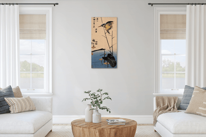 kingfisher-over-yellow-waterplantas92990-