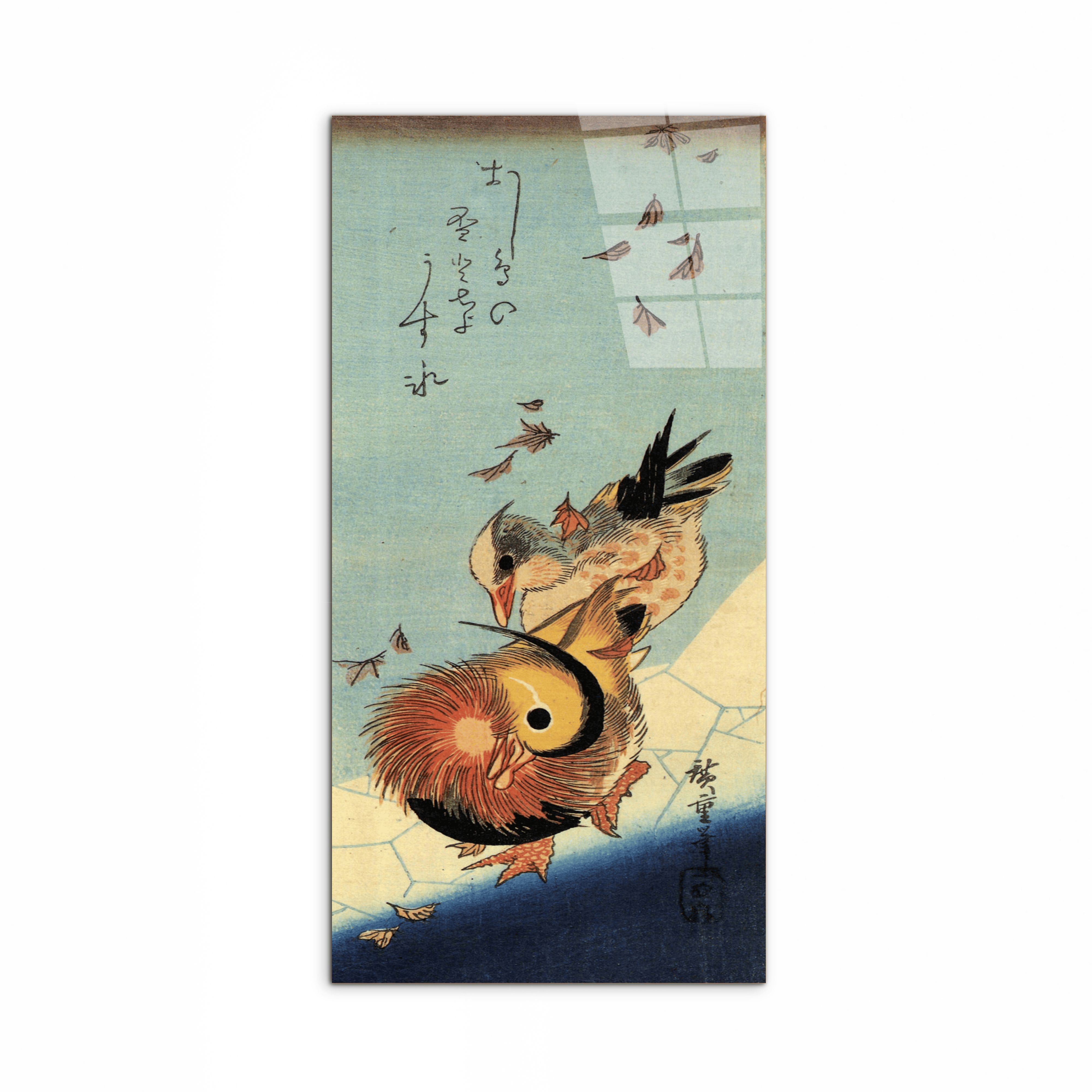 mandarin-duck-on-frozen-pondas92994-#materiale_CrystalArt/dimensioni_50x100