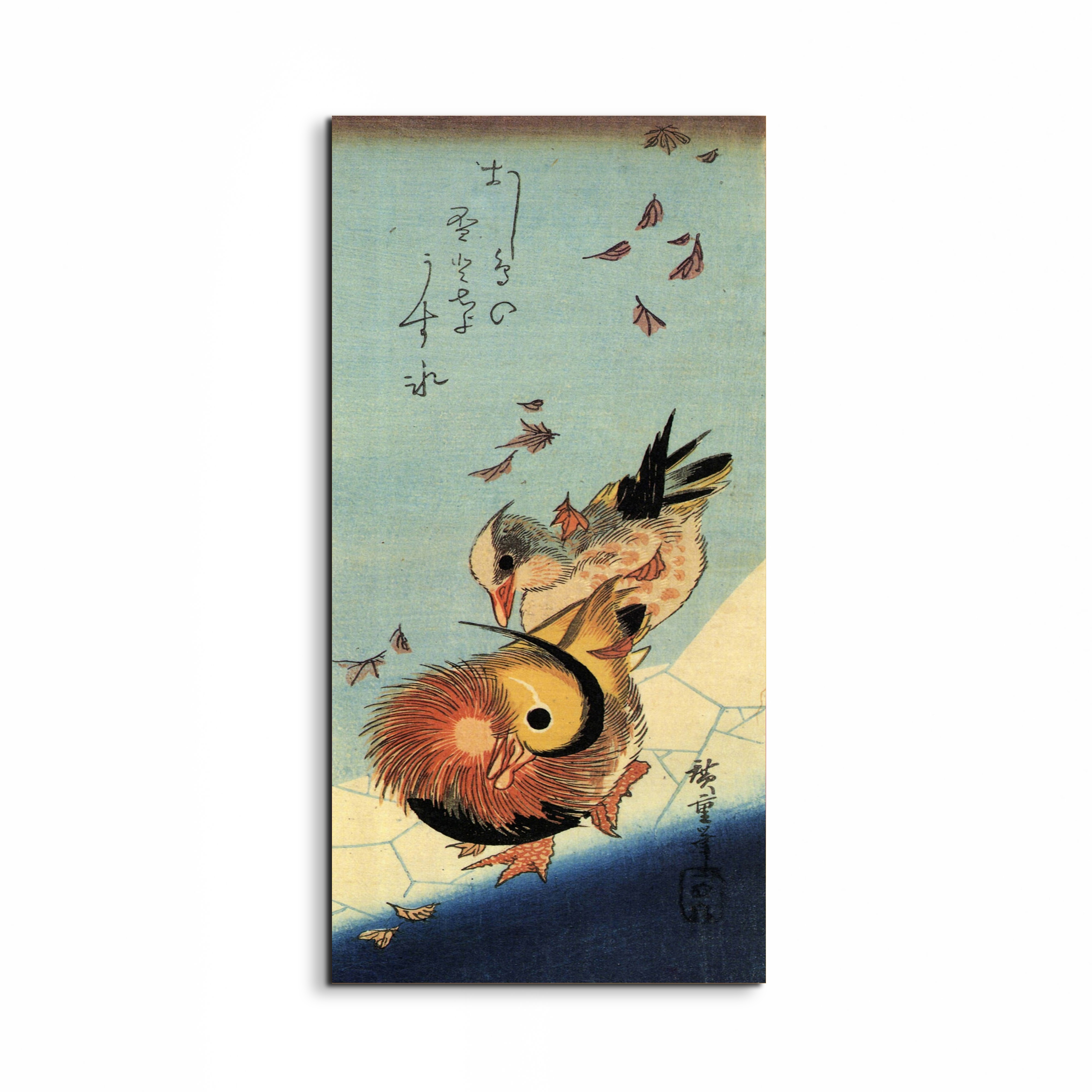 mandarin-duck-on-frozen-pondas92994-#materiale_EarthArt/dimensioni_50x100