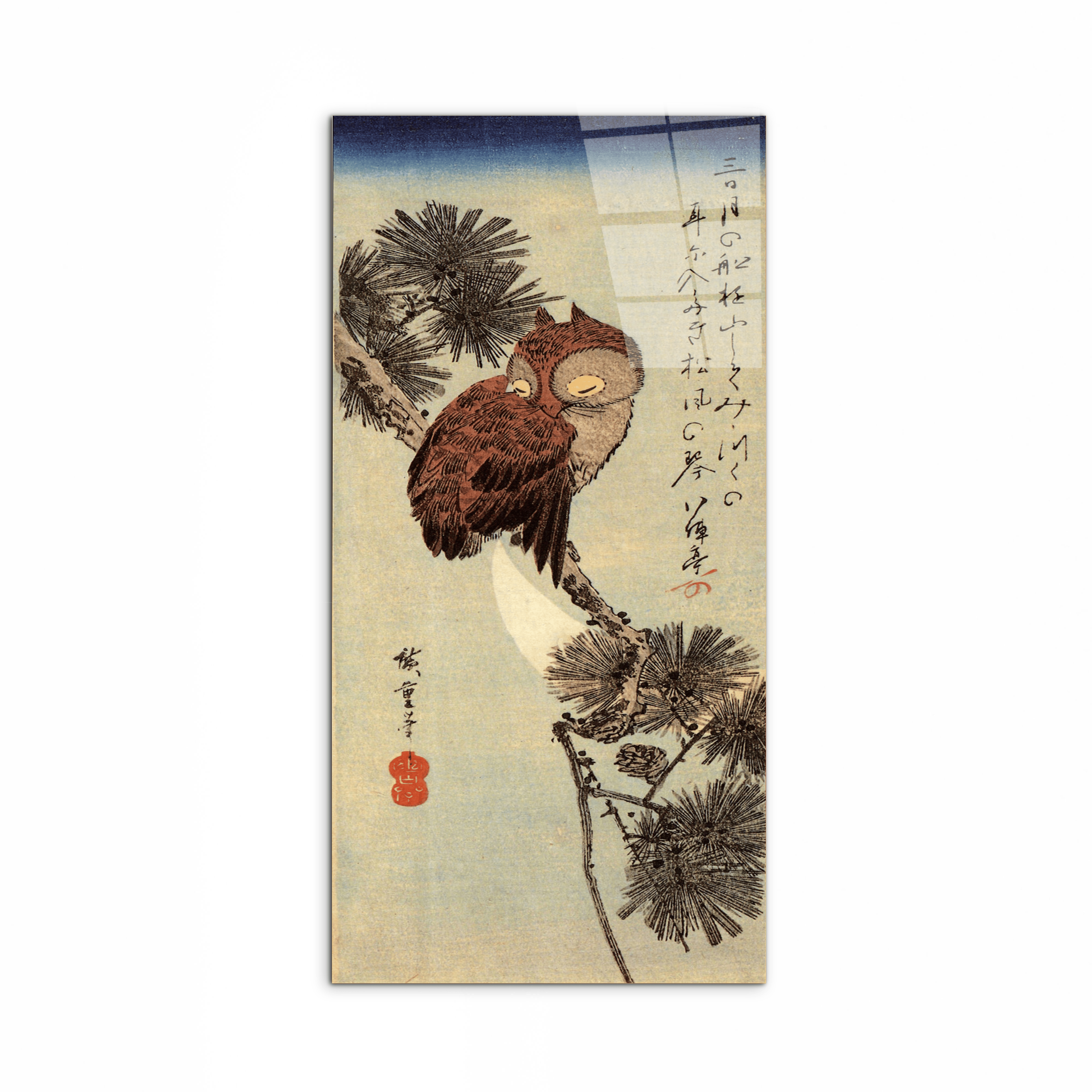 small-brown-owl-on-a-pine-branchas93012-#materiale_CrystalArt/dimensioni_50x100
