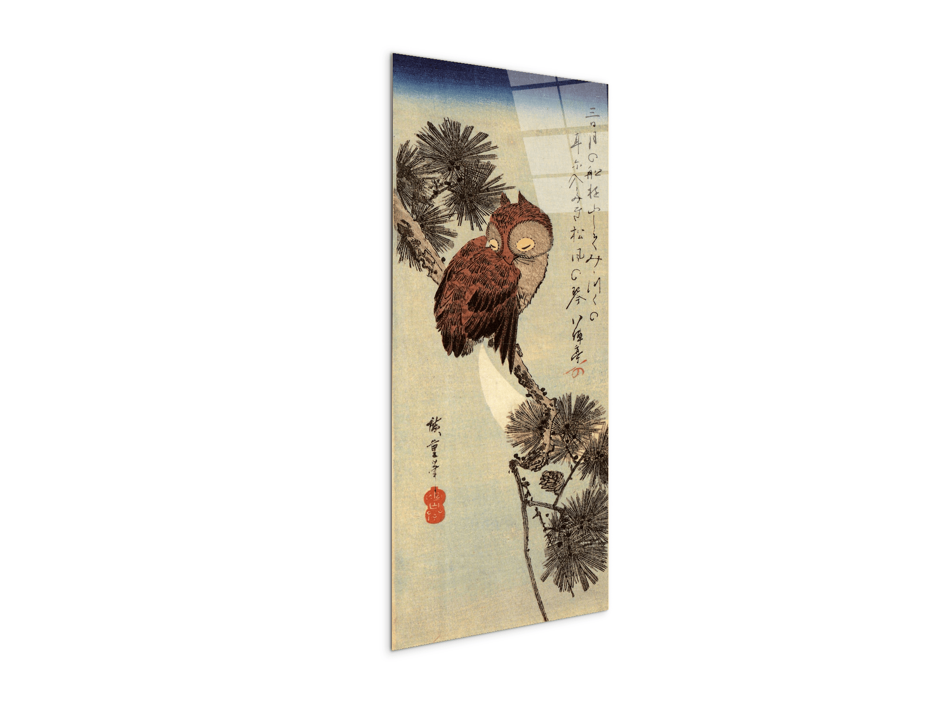 small-brown-owl-on-a-pine-branchas93012-#materiale_CrystalArt/dimensioni_50x100