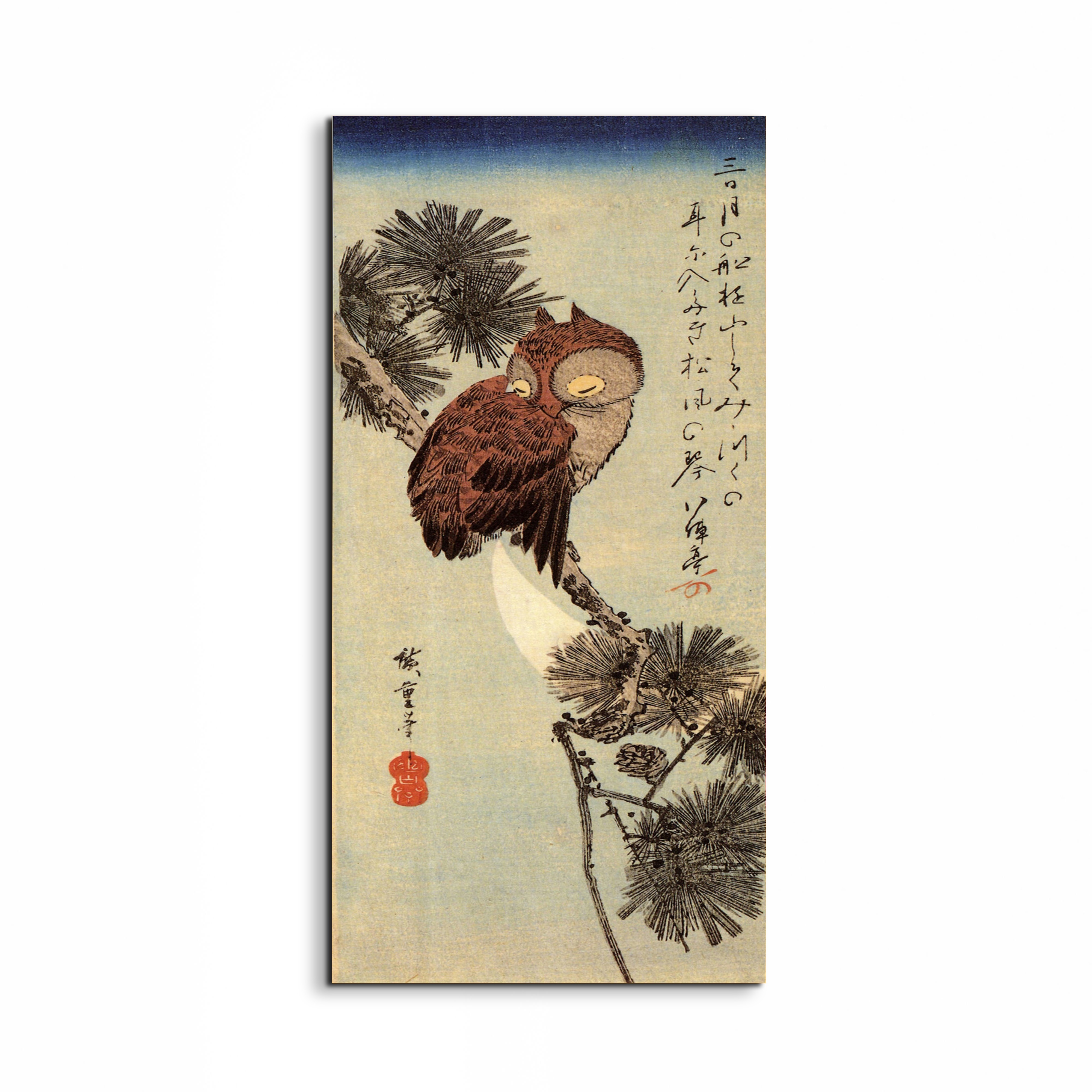 small-brown-owl-on-a-pine-branchas93012-#materiale_EarthArt/dimensioni_50x100