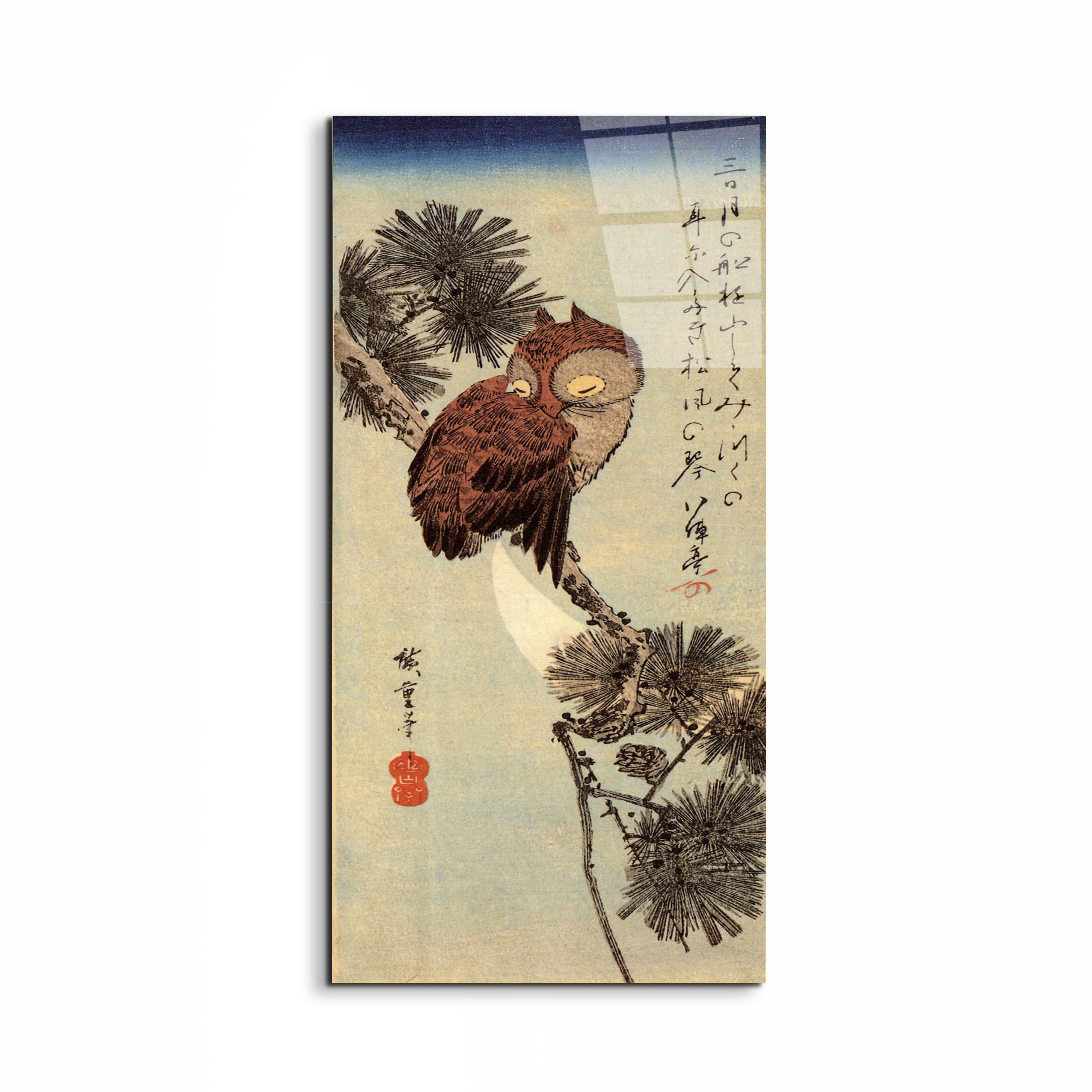 small-brown-owl-on-a-pine-branchas93012-#materiale_EarthArt Total Gloss/dimensioni_50x100