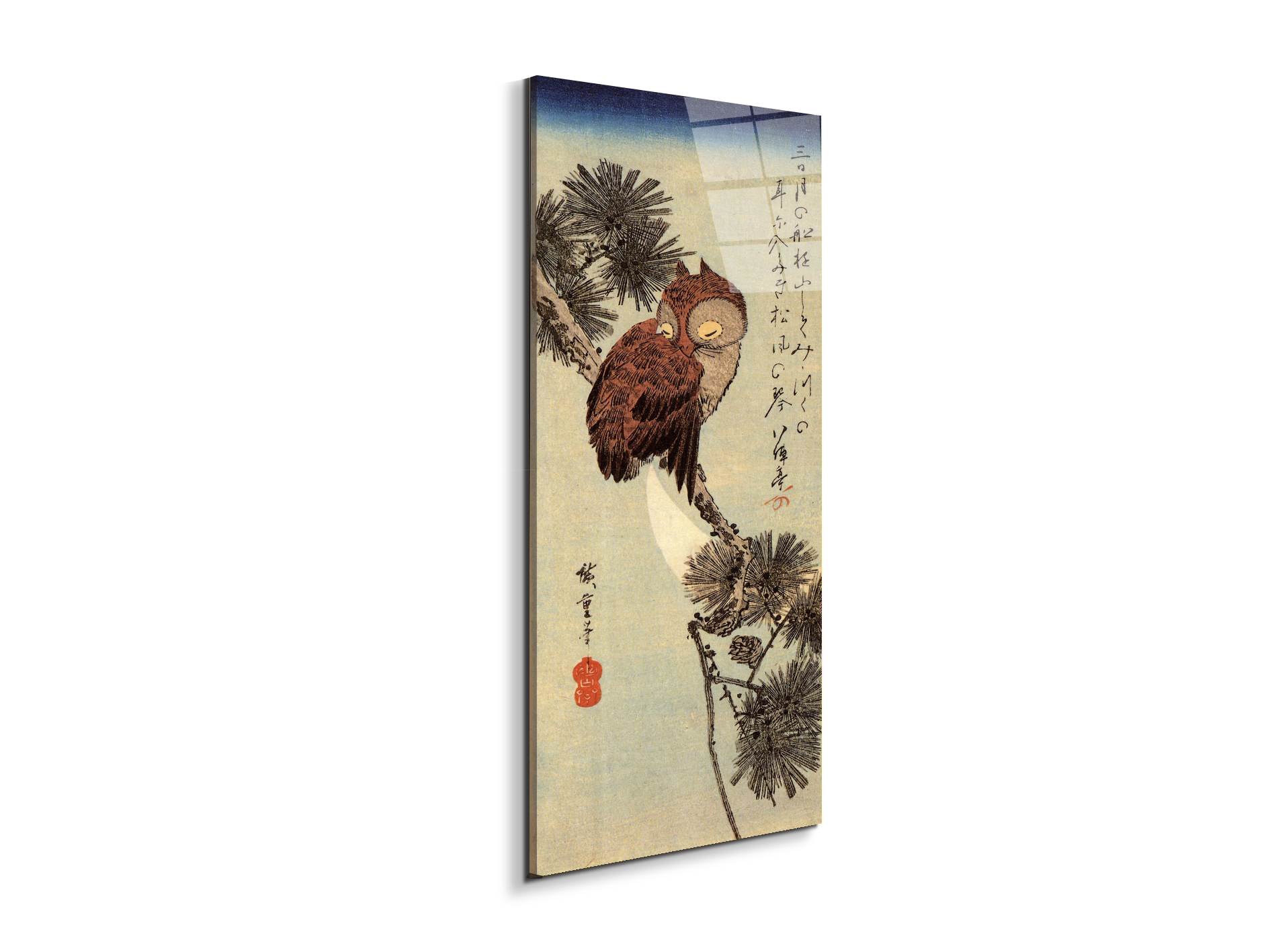 small-brown-owl-on-a-pine-branchas93012-#materiale_EarthArt Total Gloss/dimensioni_50x100