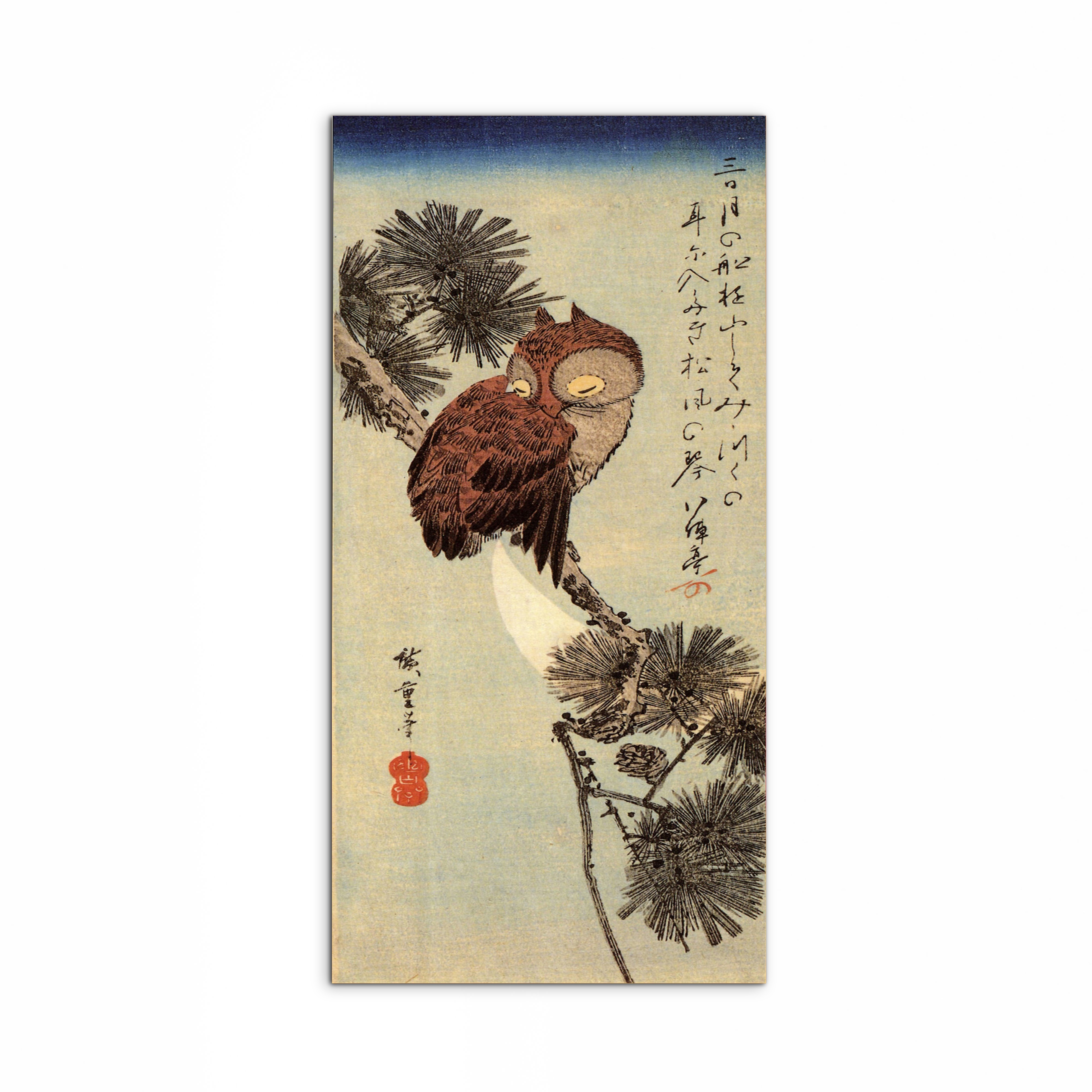 small-brown-owl-on-a-pine-branchas93012-#materiale_MetalArt Materic/dimensioni_50x100