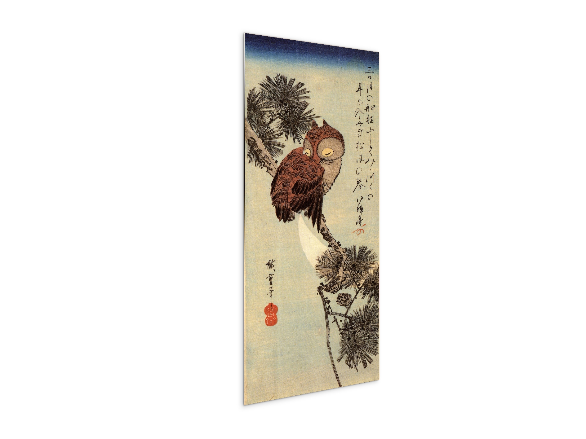 small-brown-owl-on-a-pine-branchas93012-#materiale_MetalArt Materic/dimensioni_50x100