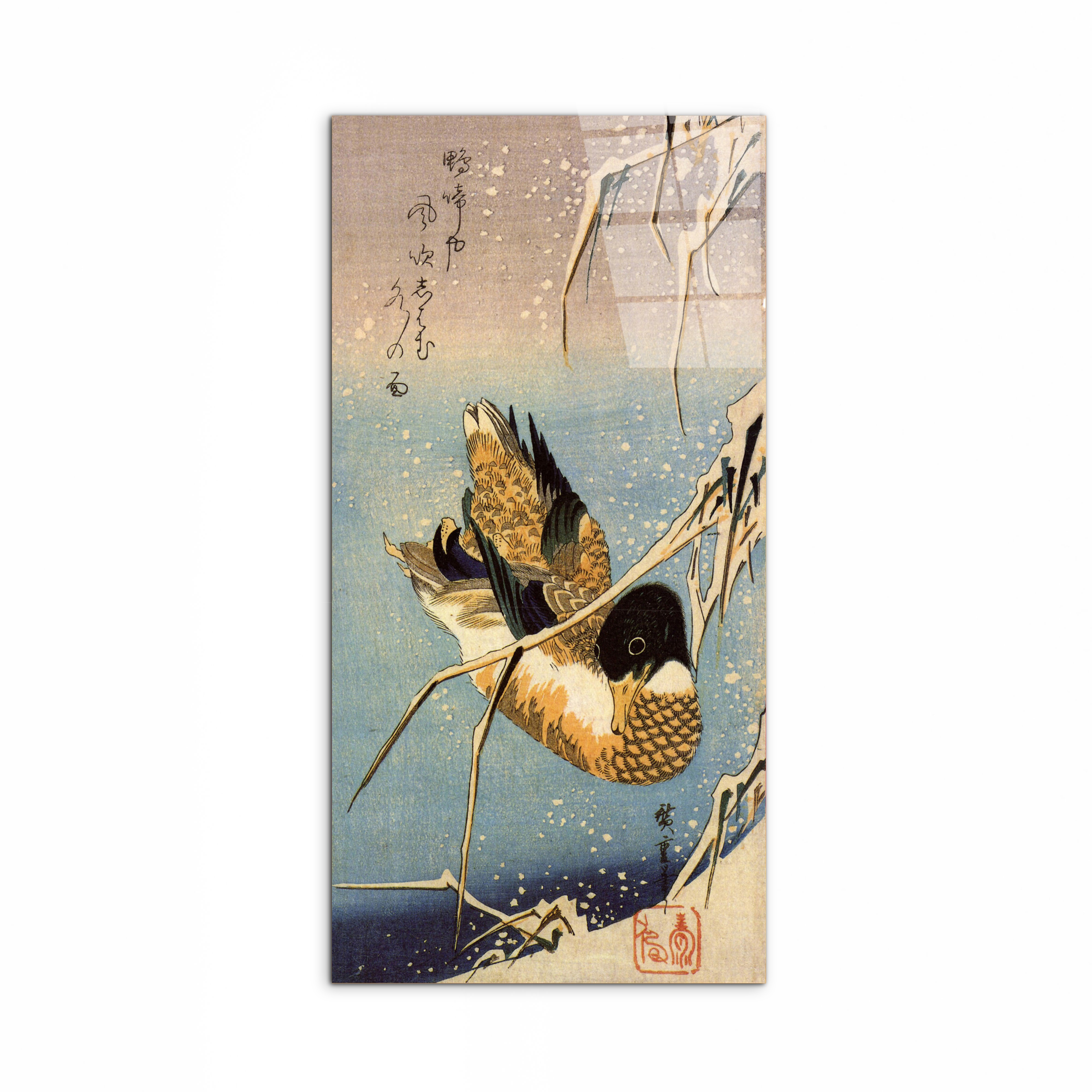 wild-duckas93036-#materiale_CrystalArt/dimensioni_50x100
