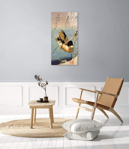 wild-duckas93036-
