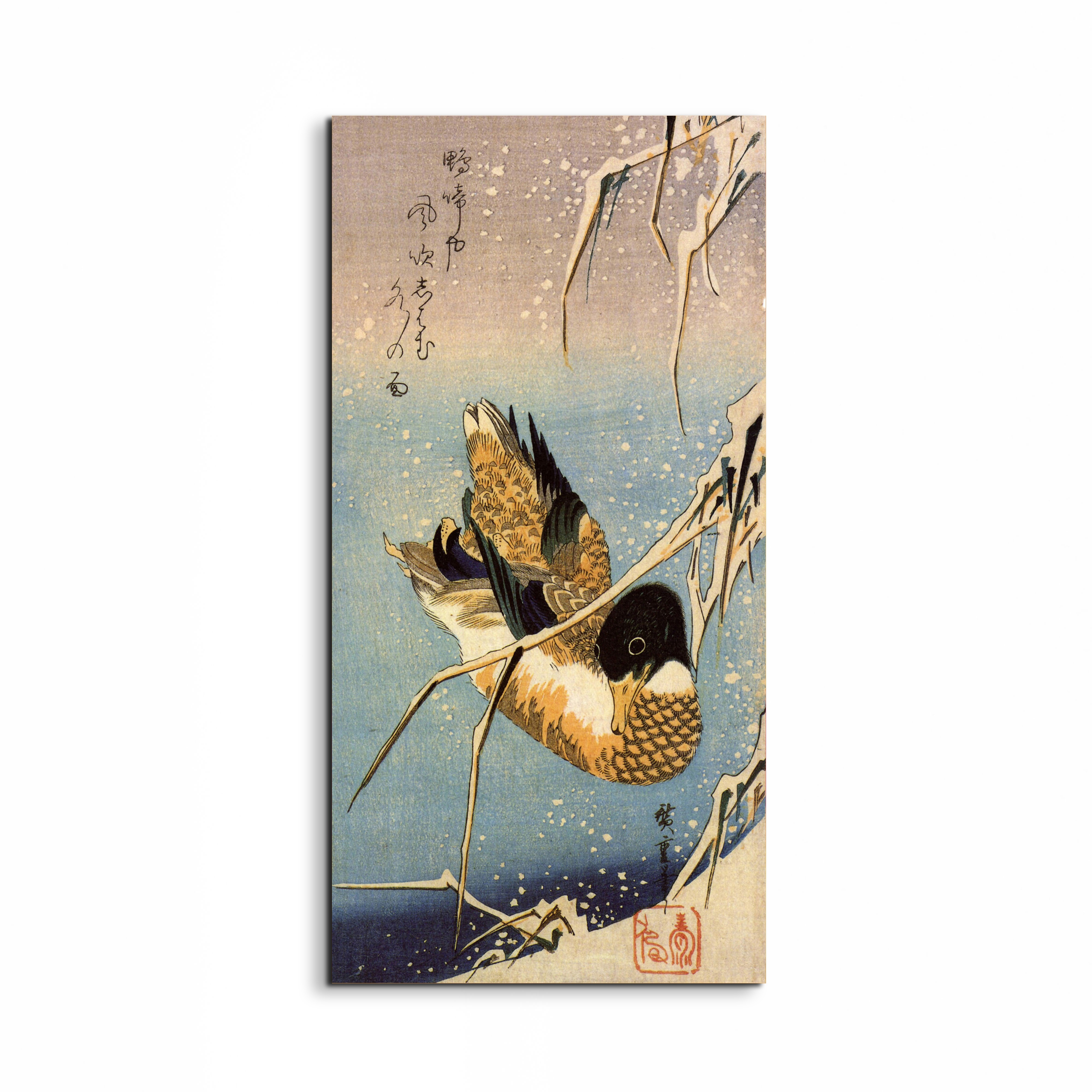 wild-duckas93036-#materiale_EarthArt/dimensioni_50x100