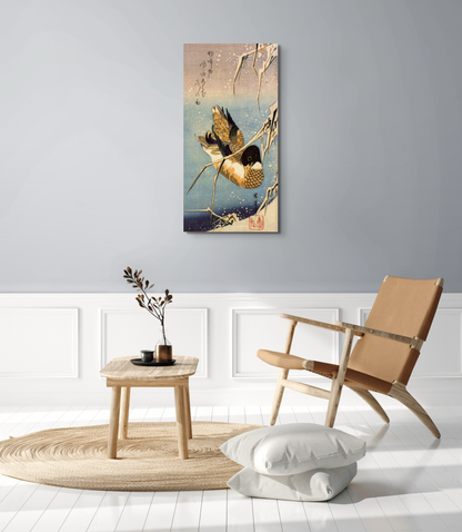 wild-duckas93036-